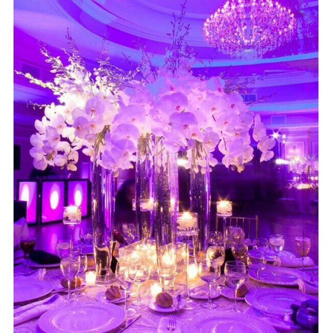 Purple Weddings! - 4