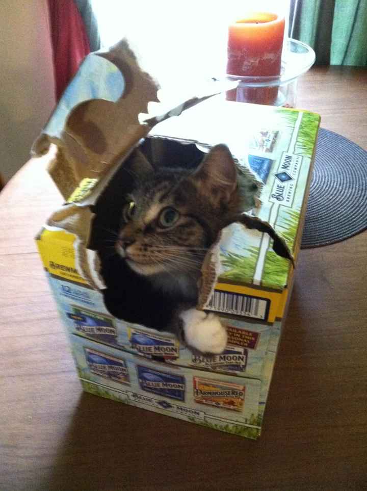 NWR Happy Fursday!!!