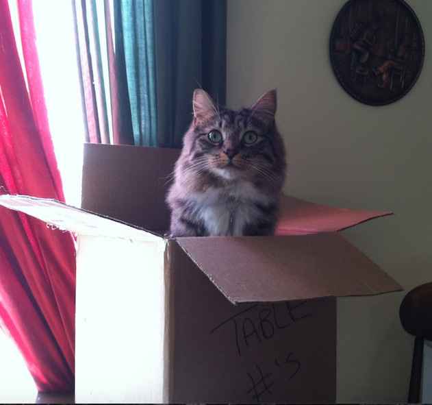 NWR: Pets "helping"
