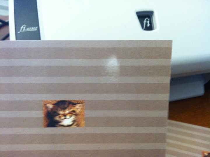 My rehersal dinner invitations came in today from Vistaprint