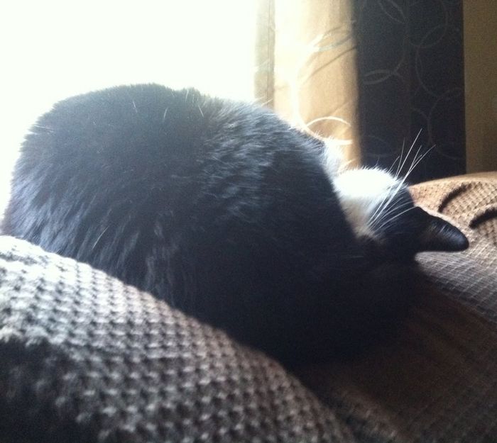 NWR.......FUR BABIES!!!!