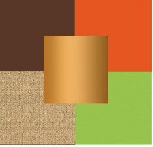 What is or was your wedding theme/or color scheme?