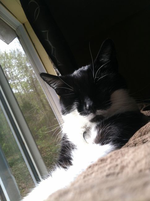 NWR Happy Fursday!!!