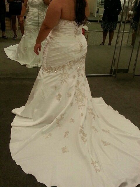 David's Bridal Brides - POST PICS OF YOUR DRESS!!!