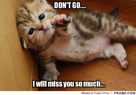 :`(    9,998... 9,999... 10,000 Posts...  I'll Miss you All  ~