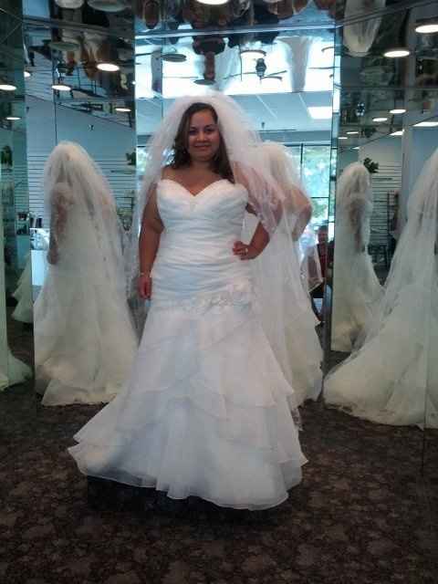 Decided to STOP watching Say Yes to the dress because...