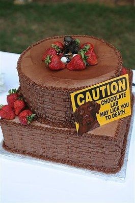 Show me the cake...