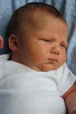 Update~Baby Jacobi