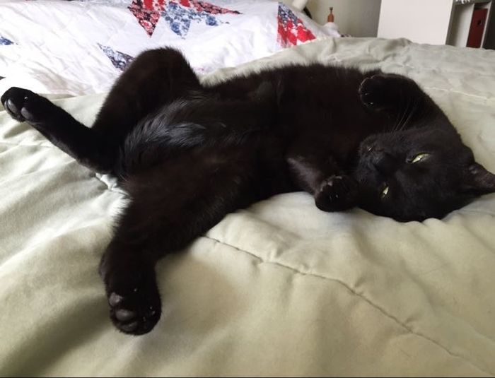 NWR:  Furbaby!