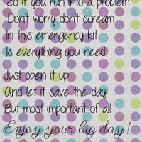 emergency wedding kit! help :)