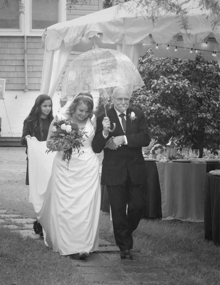 Pro Bam/budget Breakdown/advice 10/19/19 - 23