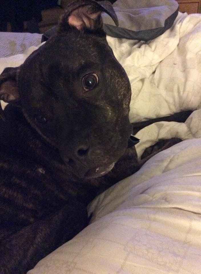 Show me your...KIDS!