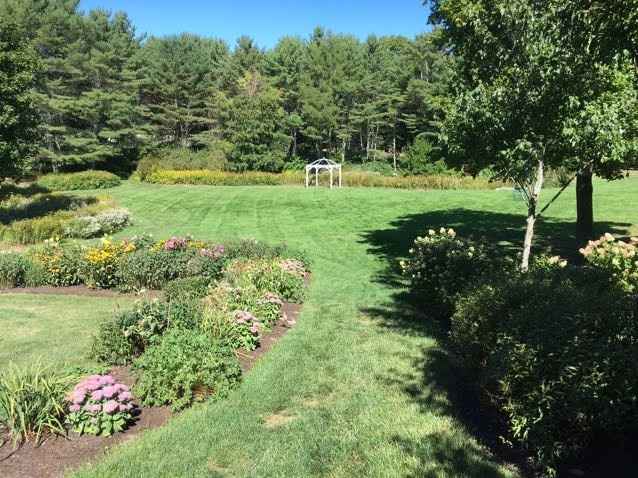 Potential shoe dilemma