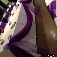 Tulle Trouble - 1