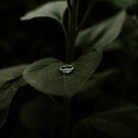 Show me the Ring!💍 - 1