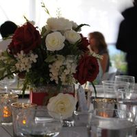 Im back and married (pic heavy)