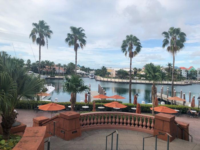 My dream honeymoon 6