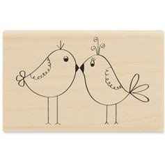 Still Need Advice on STD's!