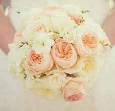 WW meetups?  is this real? NJ ladies?