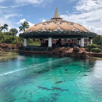 My dream honeymoon - 8