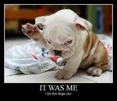 What's with all the rude people today? *Beware: Cute picture inside*