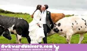 Google "funny wedding pic" or "horrible wedding pic" and post your favorite that popped up!