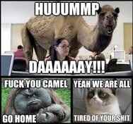 meme wedne.....**FRIDAY!!!!!**