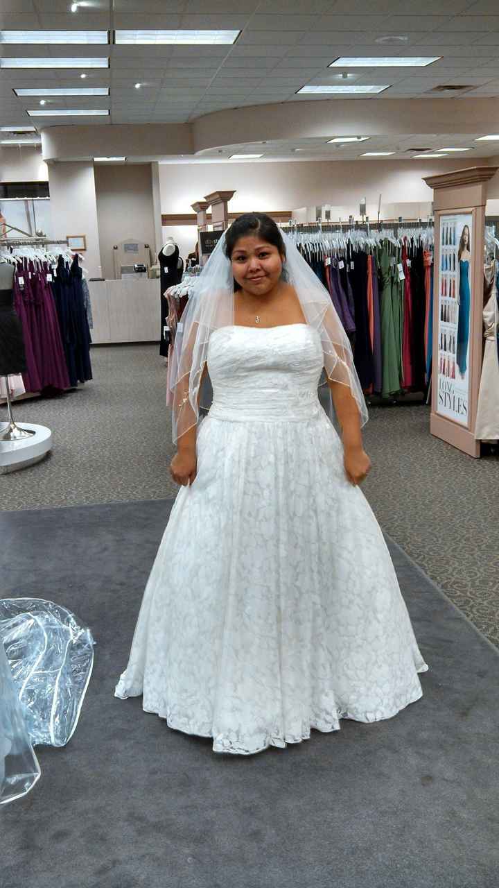 Plus-size brides!