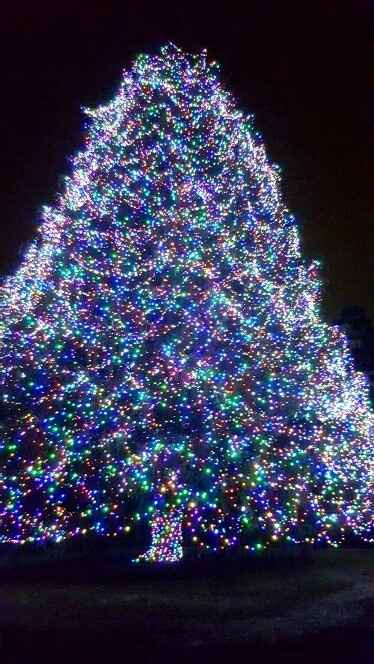 Where did he/she ask you