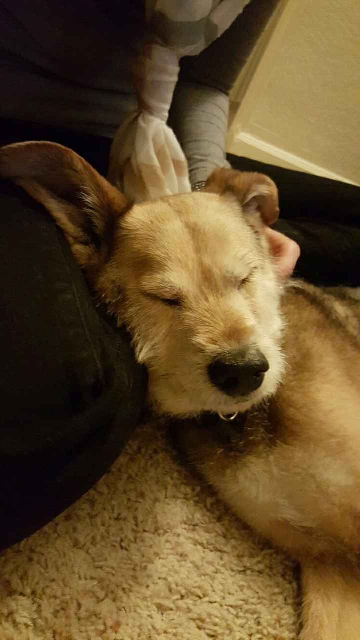 Seems like an awful lot of bad news on here today :(