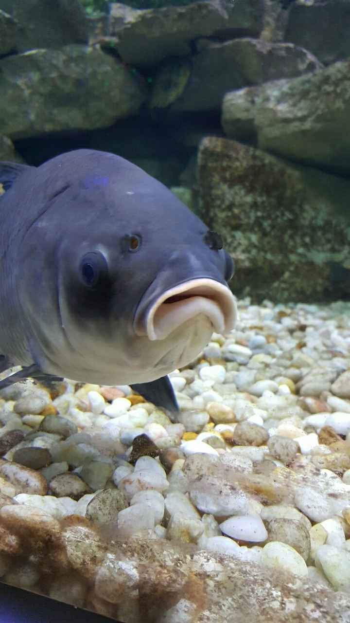 Seems like an awful lot of bad news on here today :(