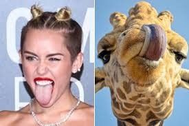 Miley Cyrus at our Wedding!!!