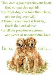 **UPDATE** It's going to be a tough weekend, saying goodbye to my dog.