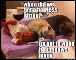 Because we could use a laugh today ...