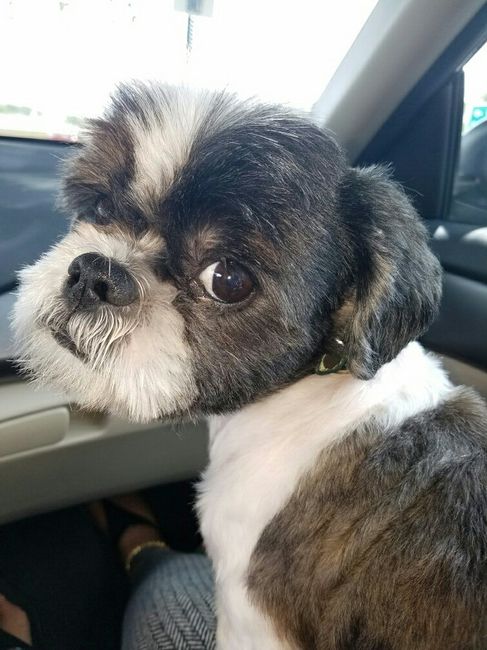NWR - Pet pictures