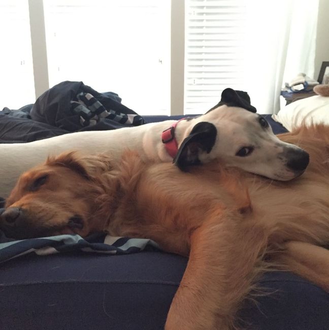 NWR: Puppy Friday!!