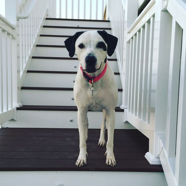 NWR: Show me your pups!