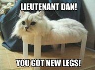 NWR- Funny pictures!