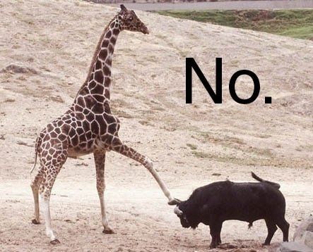 NWR- Funny pictures!