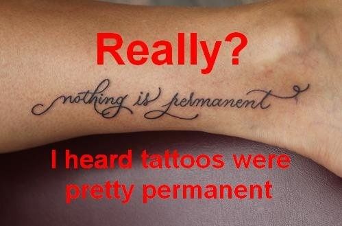 NWR- Funny pictures!