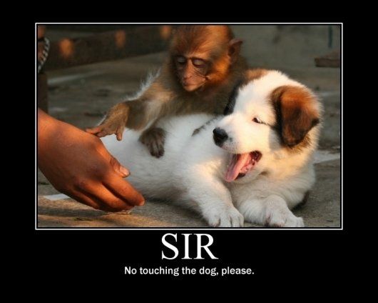 NWR- Funny pictures!