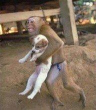 NWR- Funny pictures!