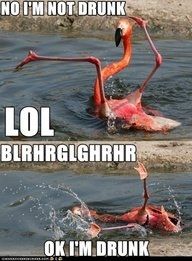 NWR- Funny pictures!