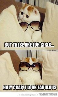 NWR- Funny pictures!