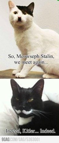 NWR- Funny pictures!