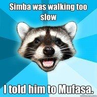 NWR- Funny pictures!