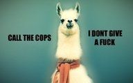 NWR: Favorite meme?