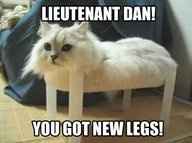 NWR: Favorite meme?