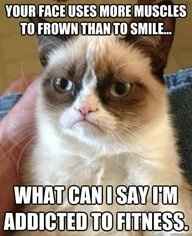 NWR: Favorite meme?