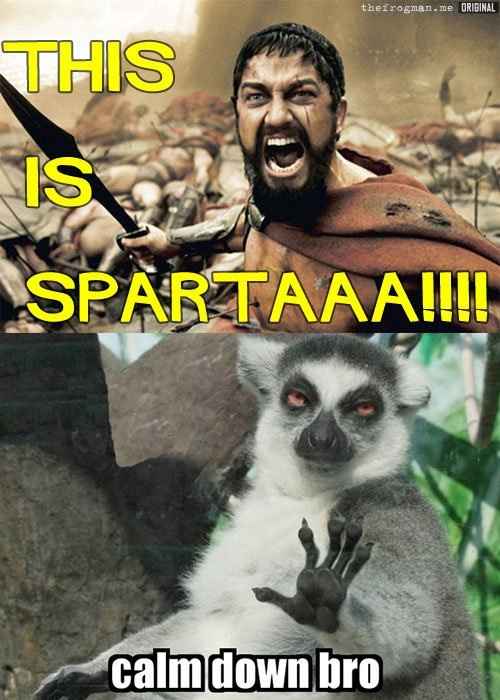 NWR- Funny pictures!